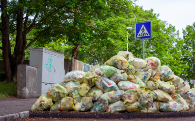 Fixing food waste problem means less hungry people and a great economy