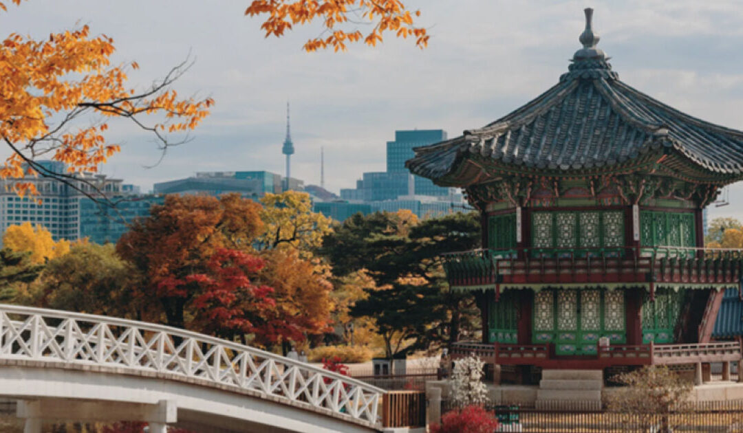 A Partner’s reflection: Beating the odds in Korean market entry