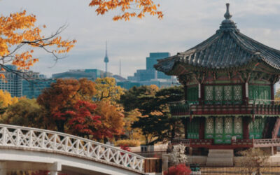 A Partner’s reflection: Beating the odds in Korean market entry