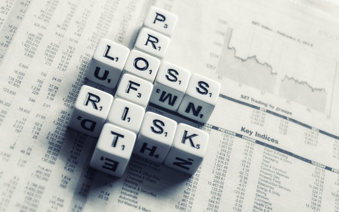 Understanding the South-east Asia venture capital risk premium