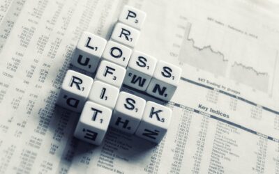 Understanding the South-east Asia venture capital risk premium